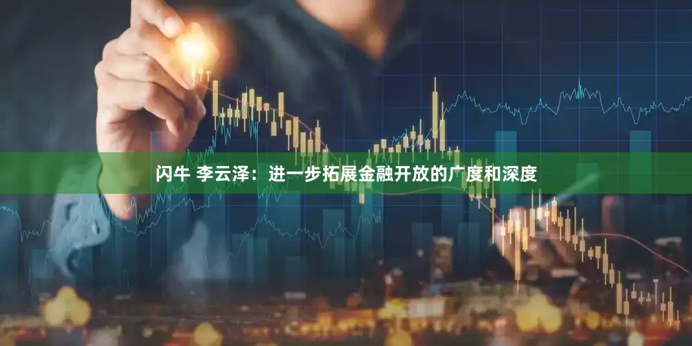闪牛 李云泽：进一步拓展金融开放的广度和深度