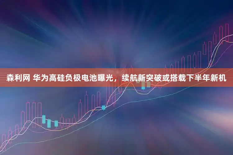 森利网 华为高硅负极电池曝光，续航新突破或搭载下半年新机