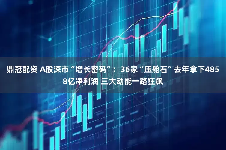 鼎冠配资 A股深市“增长密码”：36家“压舱石”去年拿下4858亿净利润 三大动能一路狂飙